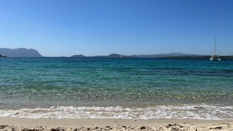 Nearby landmark, Beach, Sea view