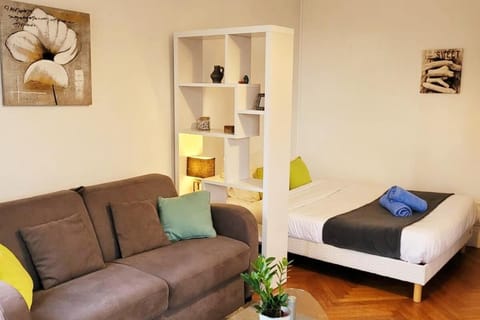 LE LUMINEUX Apartment in Nantes