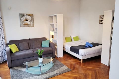 LE LUMINEUX Apartment in Nantes