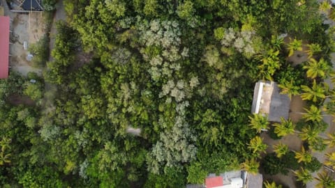 Natural landscape, Bird's eye view