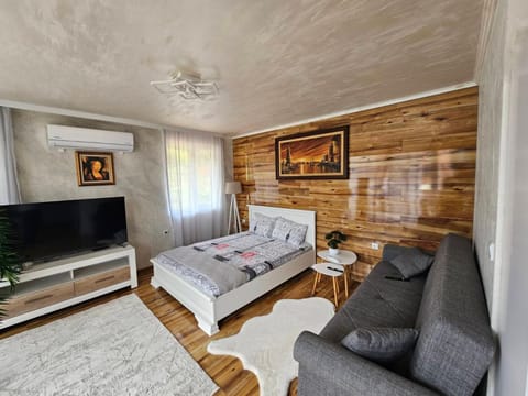 Апартамент за гости Боляри Apartment in Velingrad
