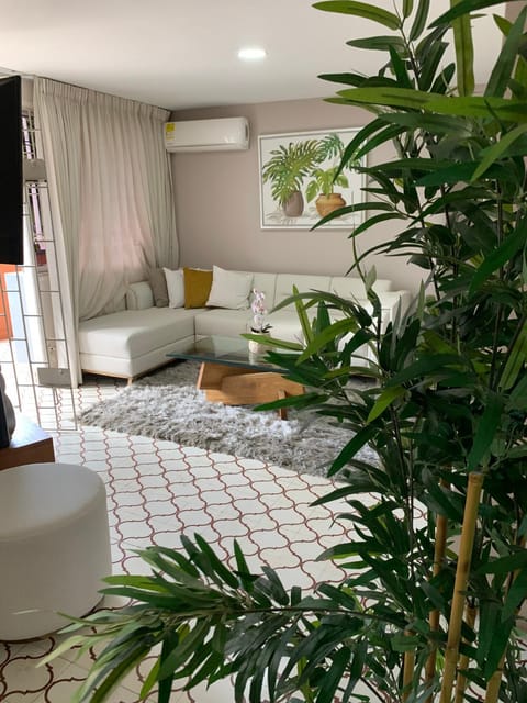 Living room, air conditioner