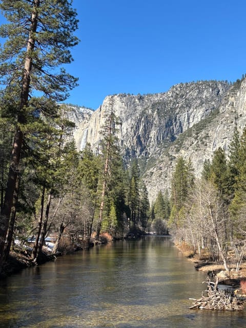 Wonky Donkey Den 30 mi to Yosemite Arch Entrance House in Bootjack