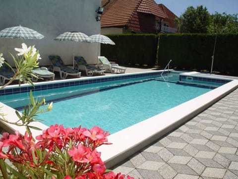 Summer, Swimming pool, sunbed