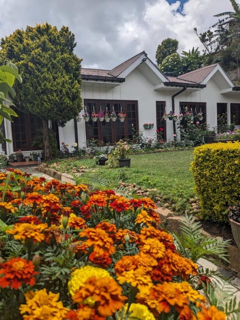 Natural landscape, Garden, Garden view