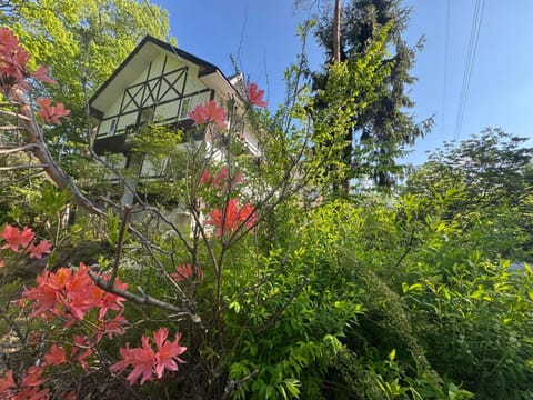 Spring, Day, Natural landscape, Garden, Garden view