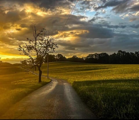Natural landscape