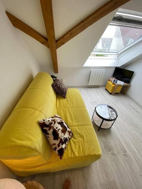 Esprit Jaune - Cosy studio Salengro - Sauna & Sport club Apartment in Mulhouse