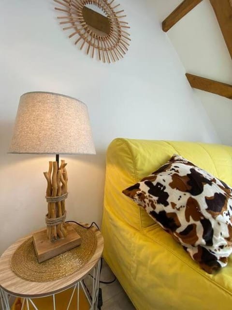 Esprit Jaune - Cosy studio Salengro - Sauna & Sport club Apartment in Mulhouse