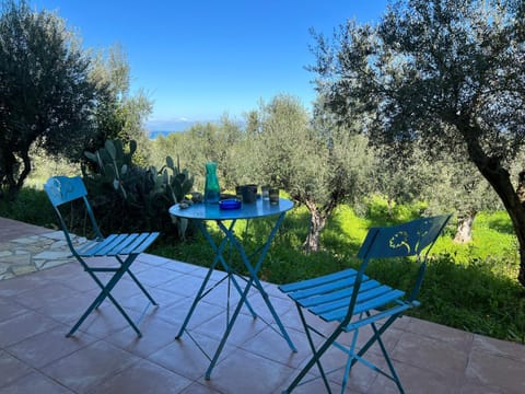 Patio, Garden, Balcony/Terrace, Garden view