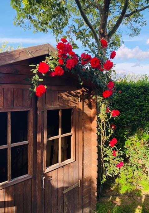 Spring, Day, Garden, Garden view
