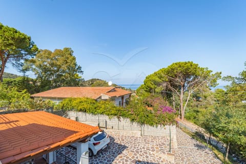 Natural landscape, Sea view