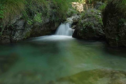 Bilo Valle Vertova Apartment in Province of Brescia