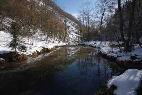 Bilo Valle Vertova Apartment in Province of Brescia