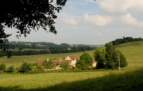 Natural landscape