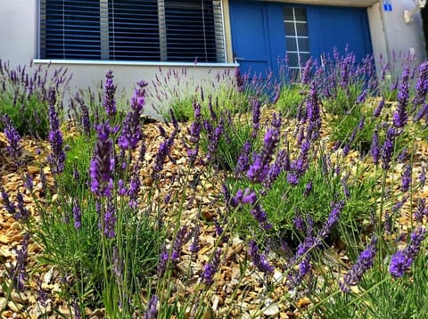 Sonniges Studio mit Aussicht Apartment in Appenzell Innerrhoden, Switzerland