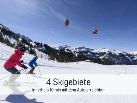 Day, People, Winter, Skiing