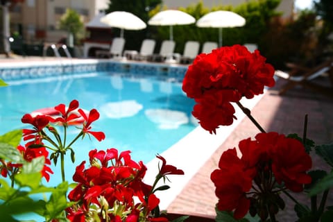 Spring, Day, Summer, Autumn, On site, Swimming pool, Swimming pool, Drinks