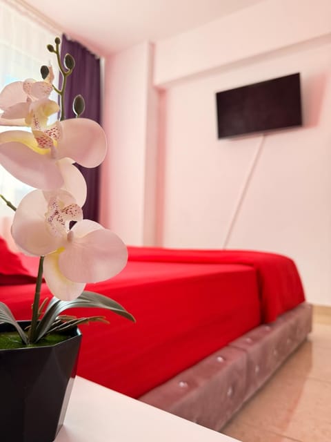 Communal lounge/ TV room, Bed, TV and multimedia, Photo of the whole room, Evening entertainment, Bedroom