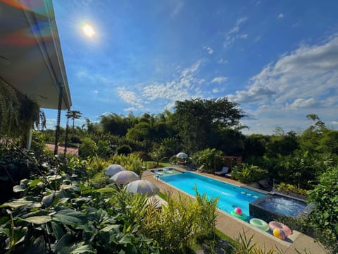 Day, Garden, Garden view, Pool view, Swimming pool, sunbed