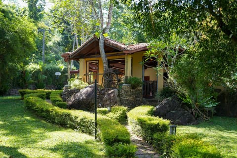Property building, Day, Garden