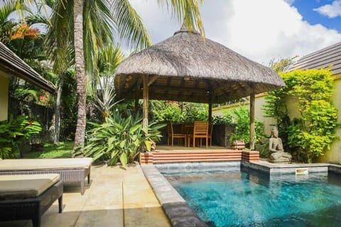 Natural landscape, Garden, Swimming pool, sunbed