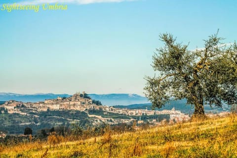 by Casamerina, villa in town of Narni with private garden, pool and sauna Villa in Narni