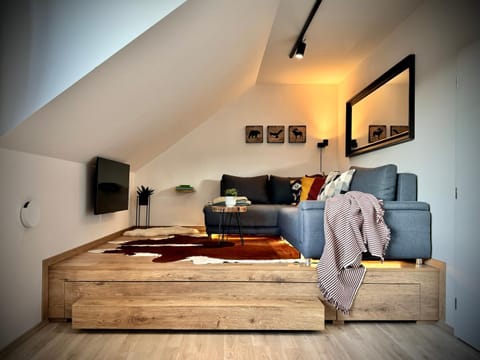 Bed, TV and multimedia, Living room, Photo of the whole room, Seating area, Bedroom
