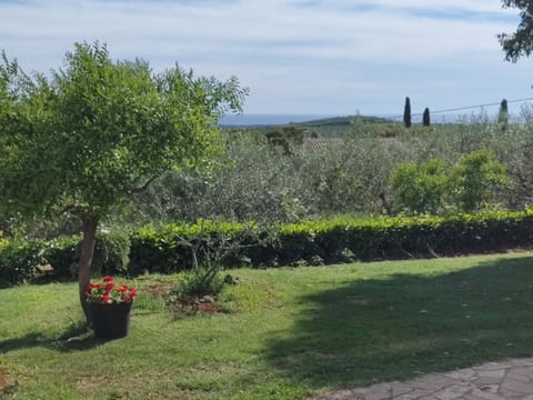 Apartment Matteo Apartment in Istria County