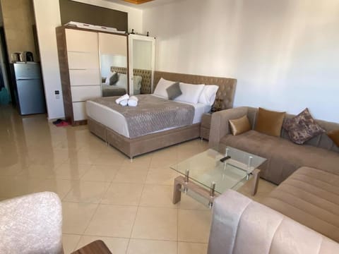 Bed, Living room, Photo of the whole room, Seating area, Bedroom