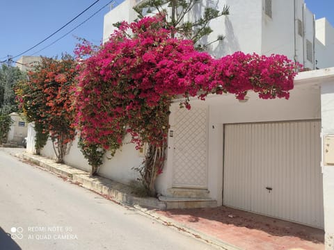 Neighbourhood, Street view