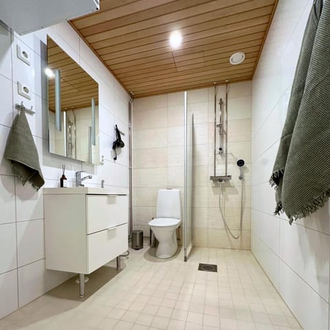 Shower, Toilet, Bathroom, towels