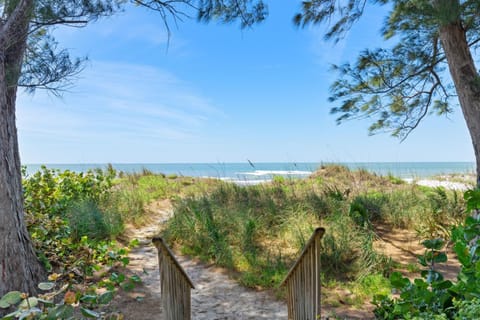 Backyard is the BEACHUnique Beach HouseBeautiful House in Indian Rocks Beach