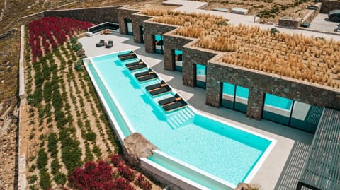 Property building, Swimming pool, sunbed