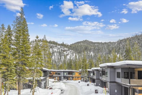 Diamond Run at Palisades - Luxury Townhome, Ski Shuttle Pet Friendly and Hot Tub! House in Palisades Tahoe (Olympic Valley)