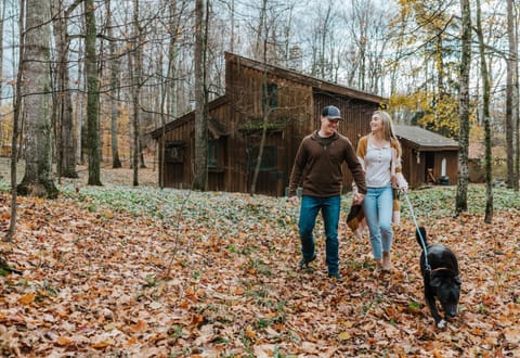 Natural landscape, Pets, Guests