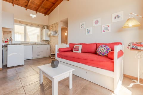 Kitchen or kitchenette, Living room, Decorative detail, Seating area, Dining area, hair dresser, minibar, stove