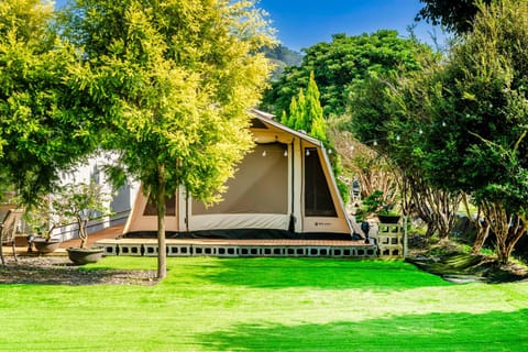 Property building, Natural landscape