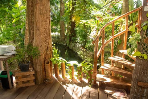 Natural landscape, Balcony/Terrace