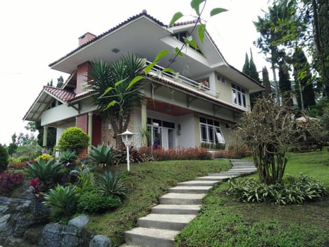 Property building, Day, Garden