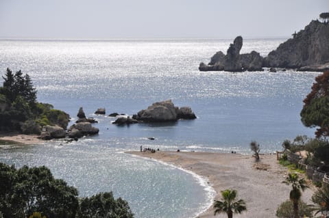 Natural landscape