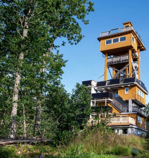 Property building, Spring, Natural landscape