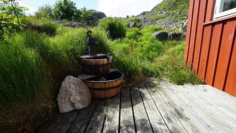 Spring, Day, Natural landscape, Garden, Mountain view