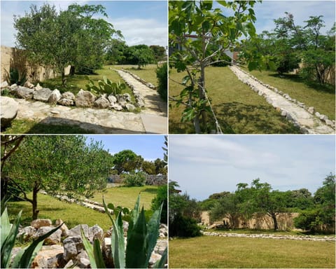 Property building, Natural landscape