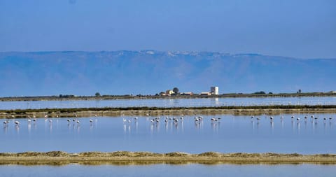 Ipanema Suite Bed and Breakfast in Province of Foggia