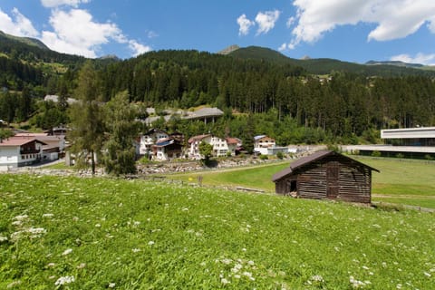 Property building, Natural landscape, Summer