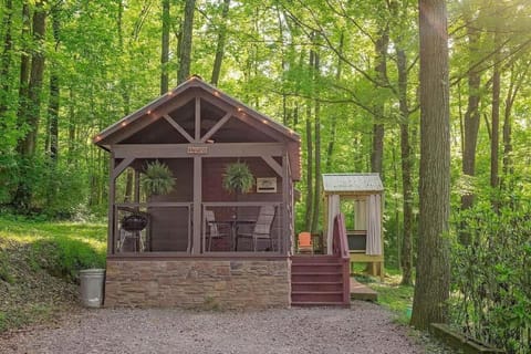 Stefan Cabin Nature-nested Tiny Home Hot Tub Cabin in Chattanooga