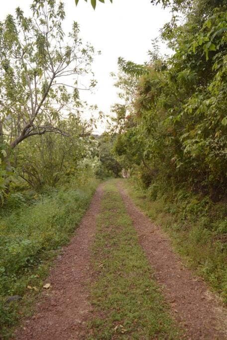 Refugio Campestre en Tepoztlán House in State of Morelos