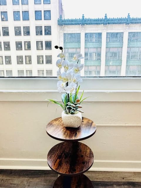 2 BR Contemporary Modern Loft Apartment in Indianapolis