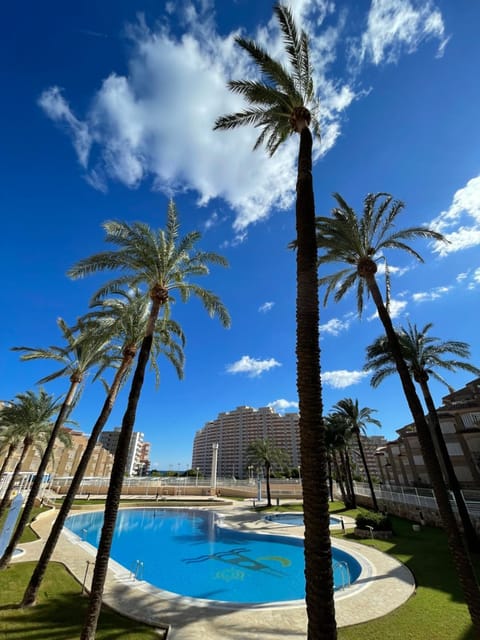 Garden, Pool view, Swimming pool